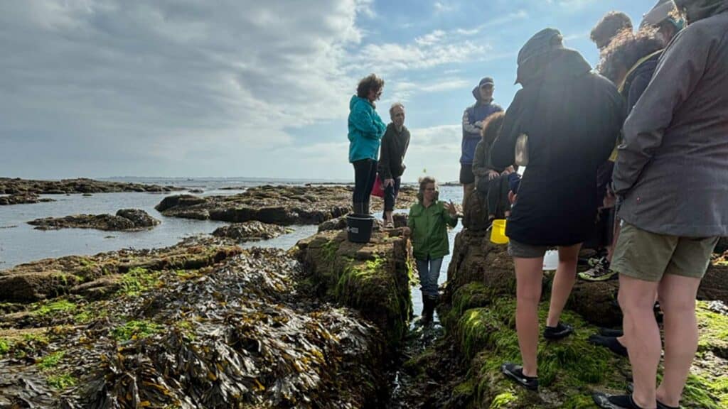 photo 1 evenementiel en